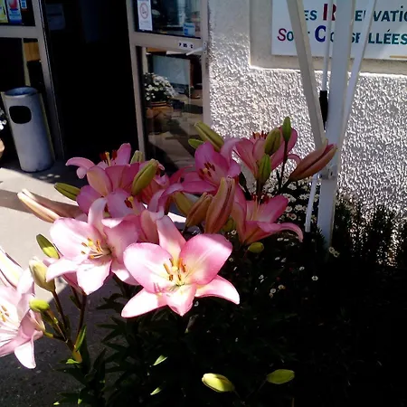 Hotel Le Relais Bleu